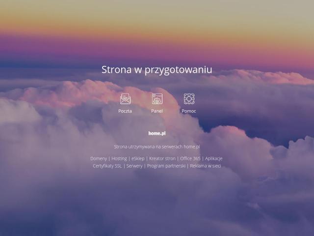 DETEKTYW NON STOP